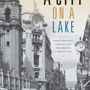 A City on a Lake: Urban Political Ecology and the Growth of Mexico City - eBook