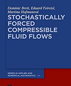 Stochastically Forced Compressible Fluid Flows - eBook