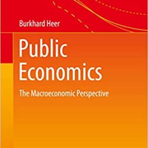 Public Economics: The Macroeconomic Perspective - eBook