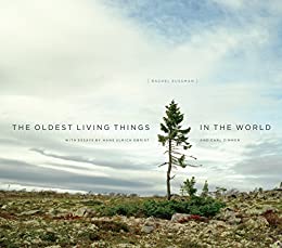 The Oldest Living Things in the World - eBook