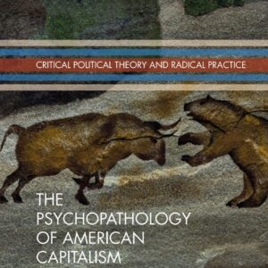 The Psychopathology of American Capitalism (Critical Political Theory and Radical Practice) - eBook