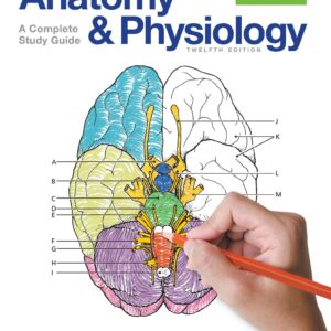 Anatomy and Physiology Coloring Workbook: A Complete Study Guide (12th Edition) - eBook