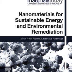 Nanomaterials for Sustainable Energy and Environmental Remediation - eBook